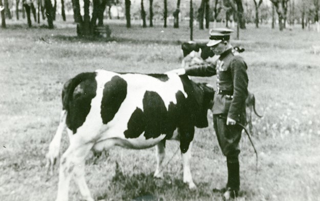 Major Sucharski visits the farm on the Westerplatte.