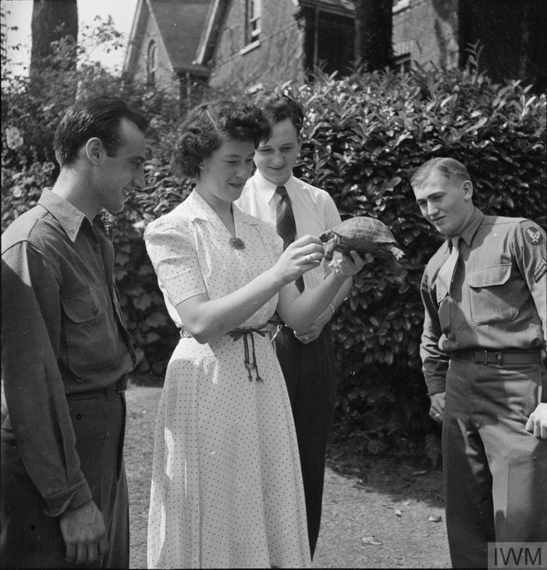 WINCHESTER, ENGLAND, ENTERTAINS US TROOPS: EVERYDAY LIFE WITH AMERICANS SOLDIERS IN WINCHESTER, HAMPSHIRE, ENGLAND, UK, 1944 (D 21573) Alfred Miraglia (from New York) and Corporal John R Jones (from Longmont, Colorado) look on as Betty and Roger Edmonds (children of the ex-Mayor of Winchester) show off their pet tortoise. The GIs have been taking tea with the family in the sunny garden of their home in Winchester. The original caption states that the Edmonds' children, Roger and Betty, were invited to the US as guests of the Mayo... Copyright: © IWM. Original Source: http://www.iwm.org.uk/collections/item/object/205201163