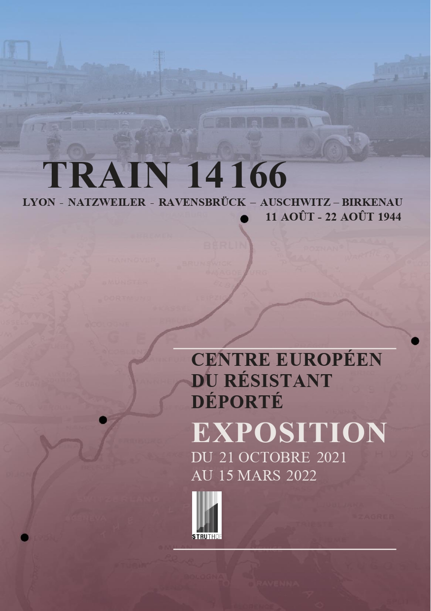 Train 14 166